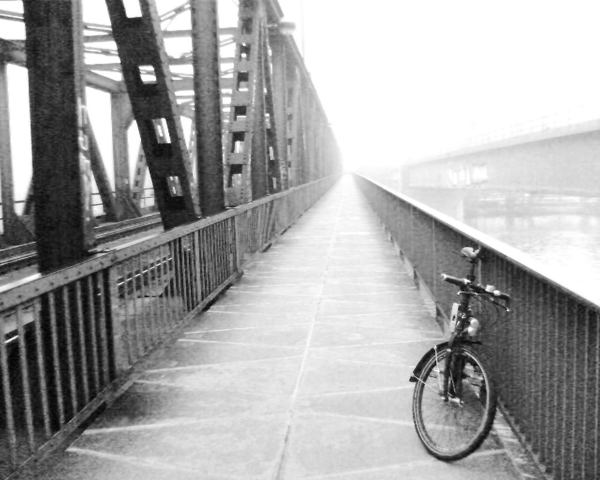 2009